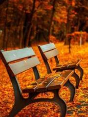 Transmigrated to the